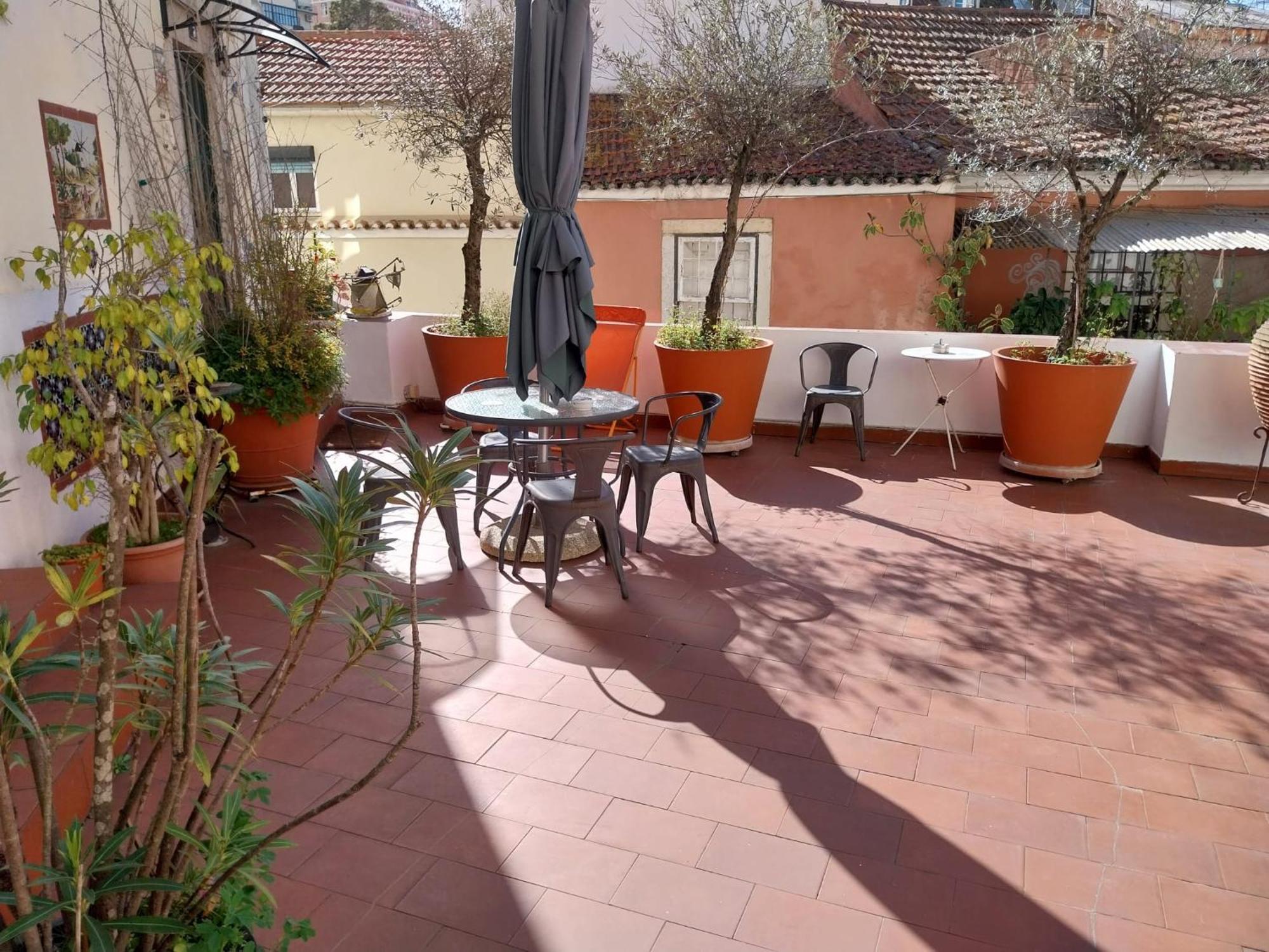 Costa Do Castelo Terrace, Em Rua Dos Lagares 8 Apartment Lisbon Bagian luar foto
